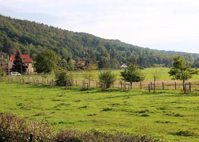 Pillnitz Am Weinberg Апартаменты Дрезден