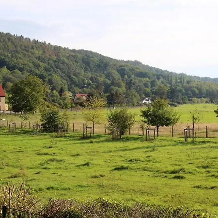 Pillnitz Am Weinberg Appartement Dresde